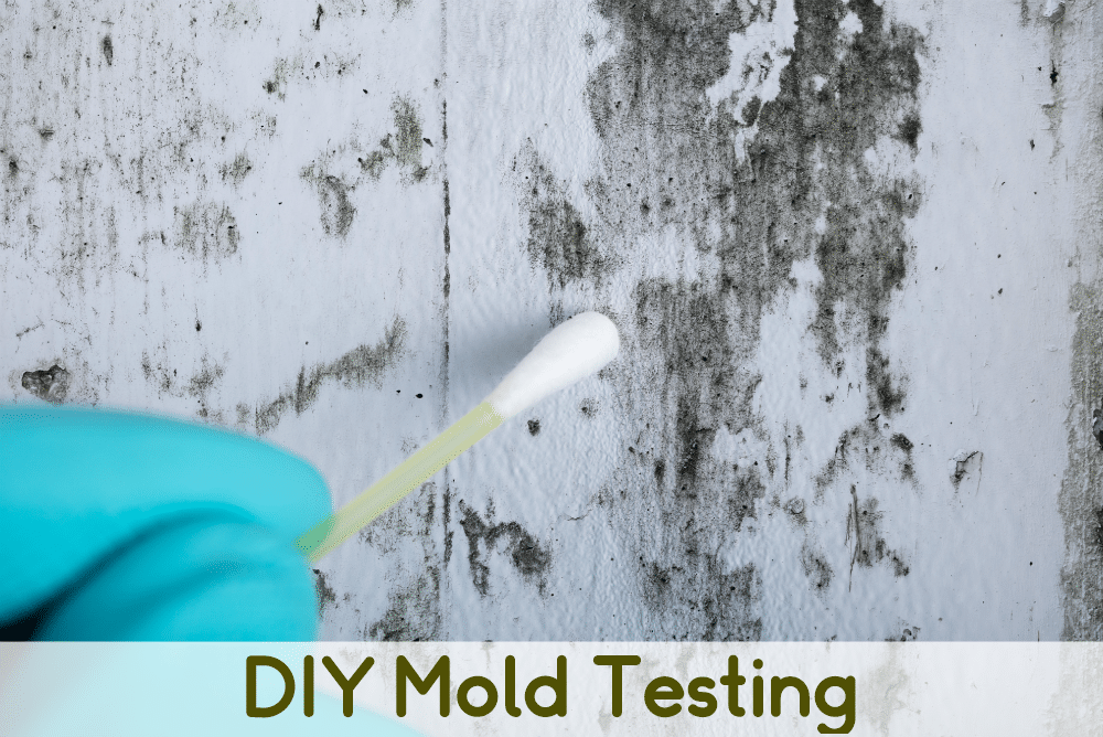Swabbing mold on a wall for a DIY mold test
