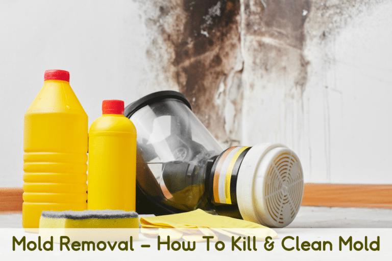 Mold Removal & How To Kill Mold
