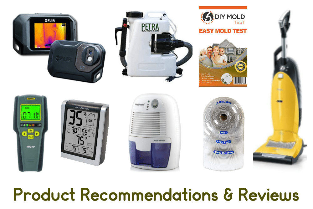 The 7 Best Mold Test Kits