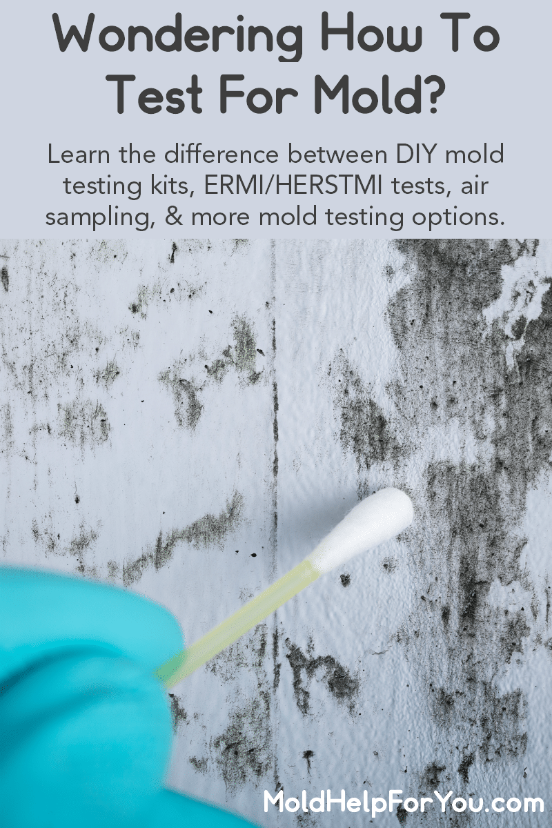 Swabbing mold on a wall for a DIY mold test