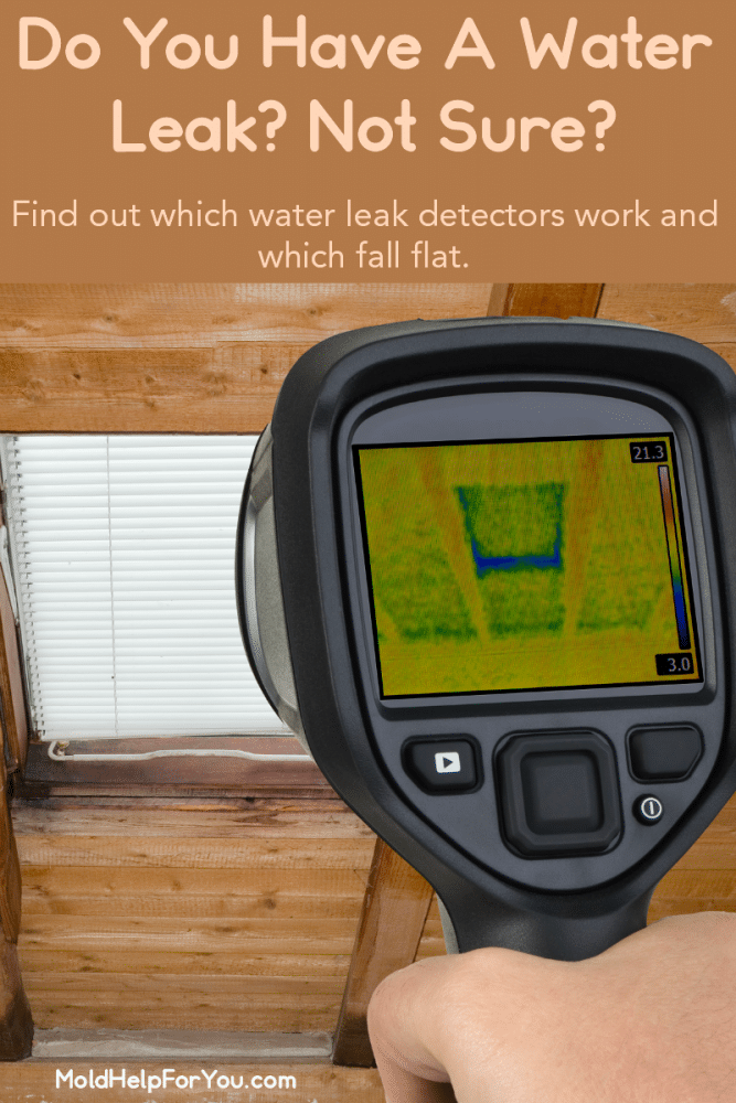 Leak Detection and Moisture Intrusion Mold Help For You