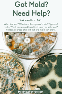 Petri dishes with various molds growing. What is Mold and Other Mold Facts is written below.