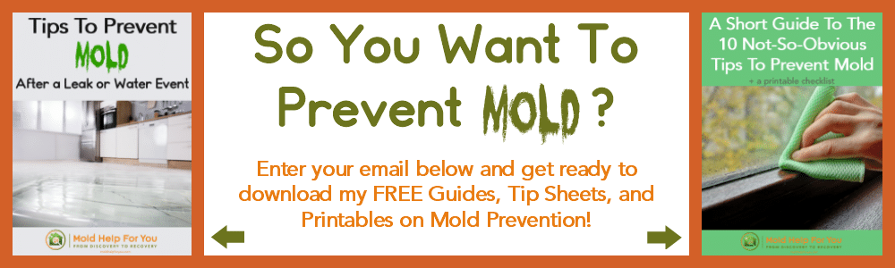 Mold Help For You newsletter sign up graphic with the covers of Tips to Prevent Mold After A Leak and A Short Guide To The Not So Obvious Tips To Prevent Mold