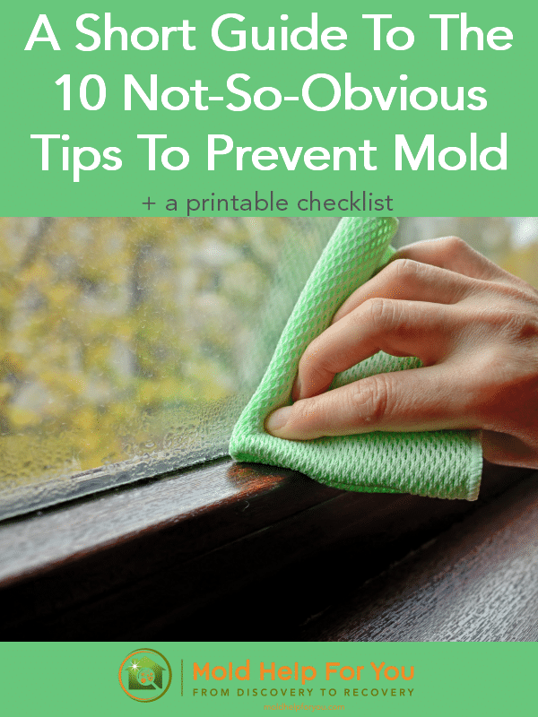 A short guide to the 10 not-so-obvious tips to prevent mold is written above an image of a hand holding a green cloth wiping condendation from a window