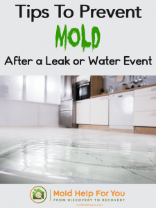 Grab Your Free Guides and Tip Sheets! | Mold Help For You