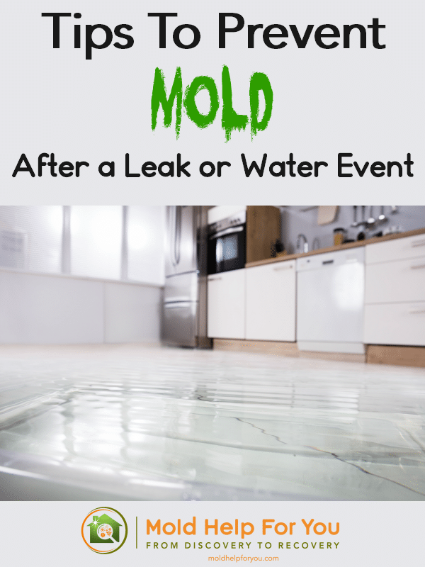 Tips to prevent mold after a leak or water event is written above an image of a flooded kitchen floor