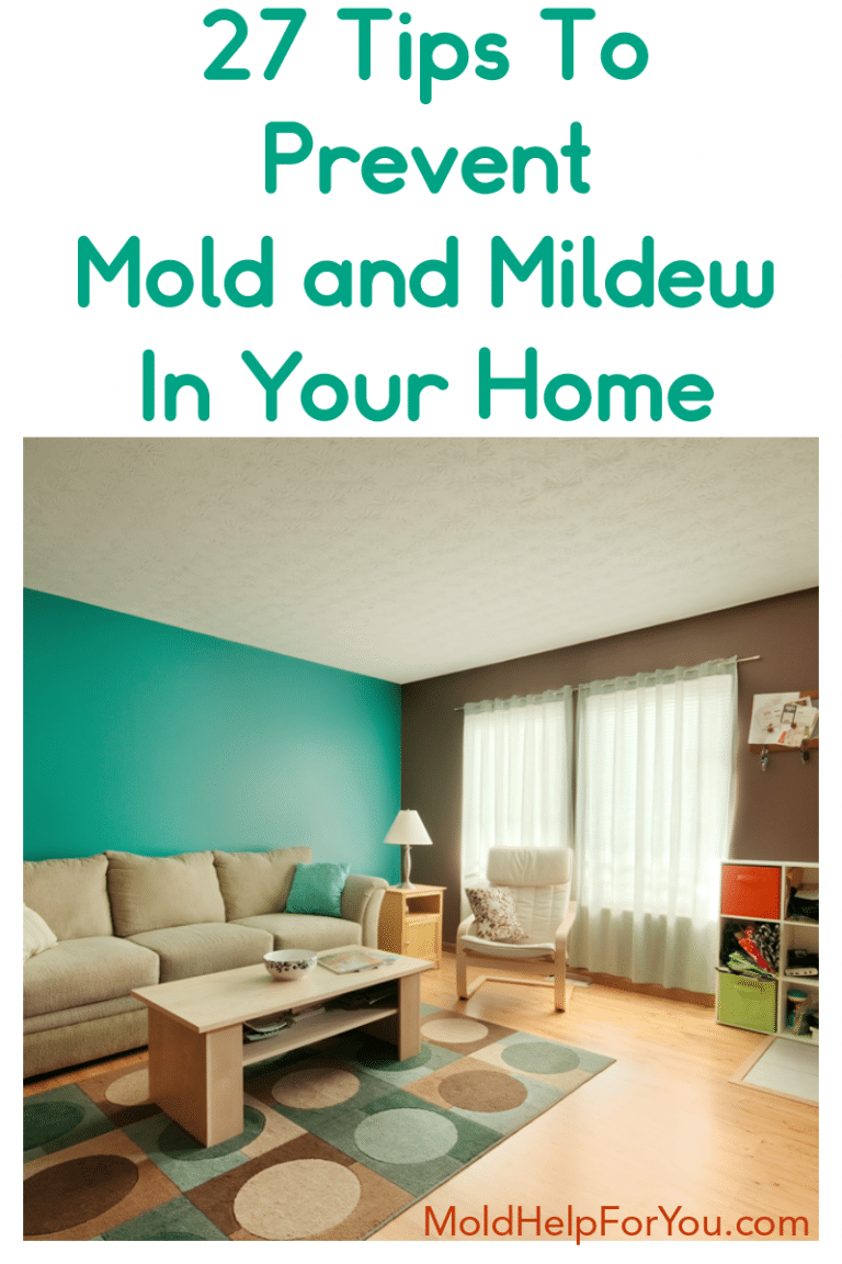 Mold Prevention 27 Tips To Prevent Mold and Mildew In Your Home