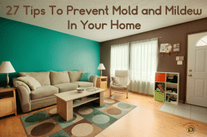 A beautiful mold-free living room thanks to the homeowners using 27 tips to prevent mold.