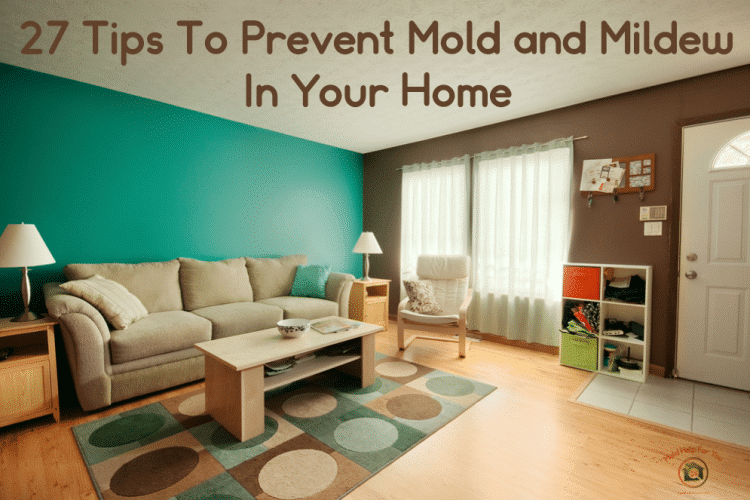 A beautiful mold-free living room thanks to the homeowners using 27 tips to prevent mold.