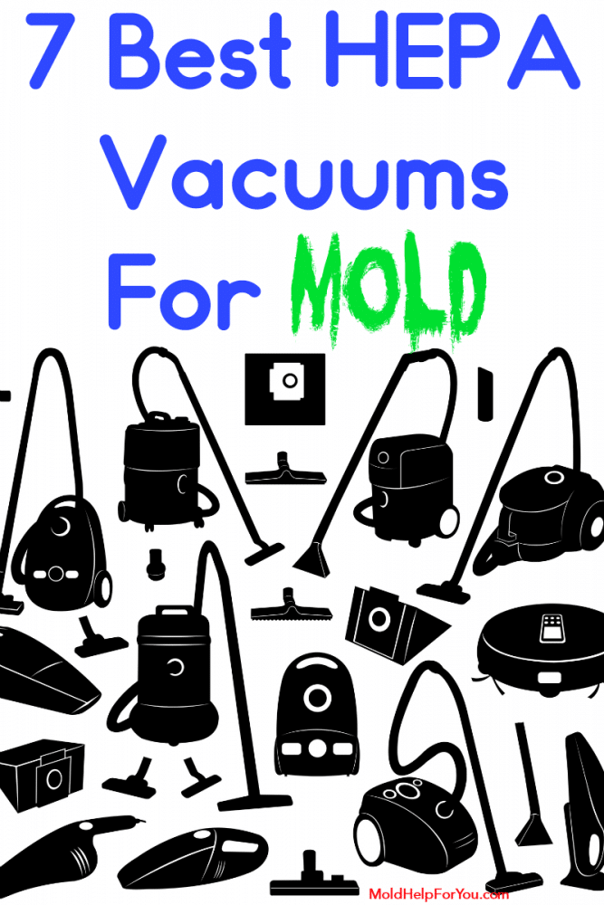The 7 Best HEPA Vacuums For Mold Mold Help For You