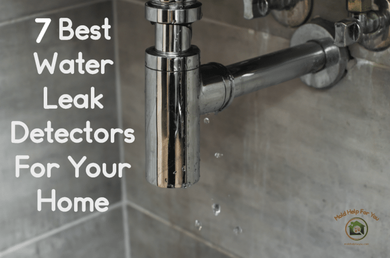 7 Best Water Leak Detectors