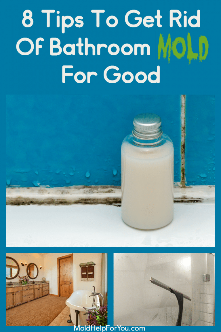 How To Prevent Mold In The Bathroom | Mold Help For You