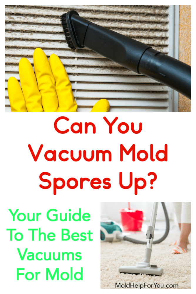 The 7 Best HEPA Vacuums For Mold Mold Help For You