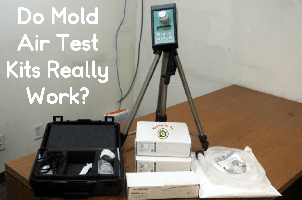 mould air test