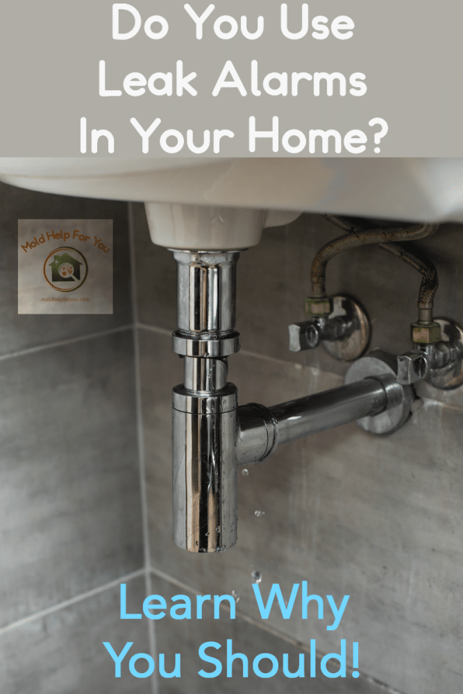 7 Best Water Leak Detectors Mold Help For You