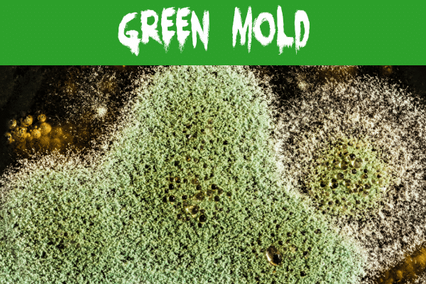 Green mold