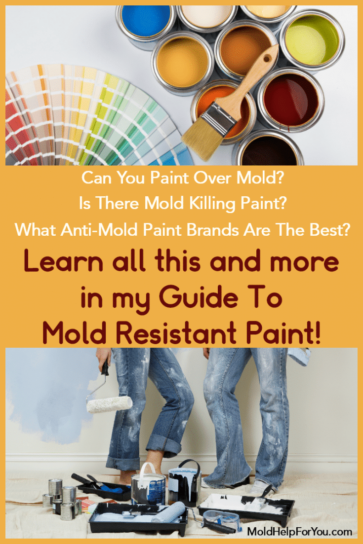 The Best Mold Resistant Paint Mold Help For You