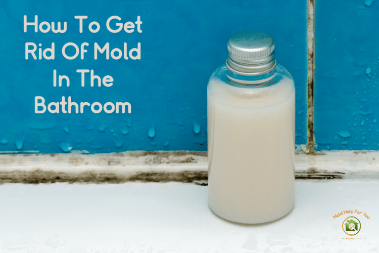 A moldy shower. How to prevent bathroom mold.