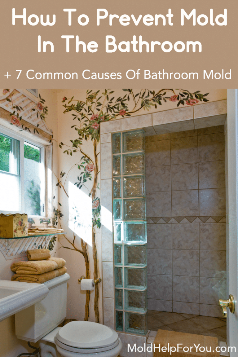 How To Prevent Mold In The Bathroom Mold Help For You