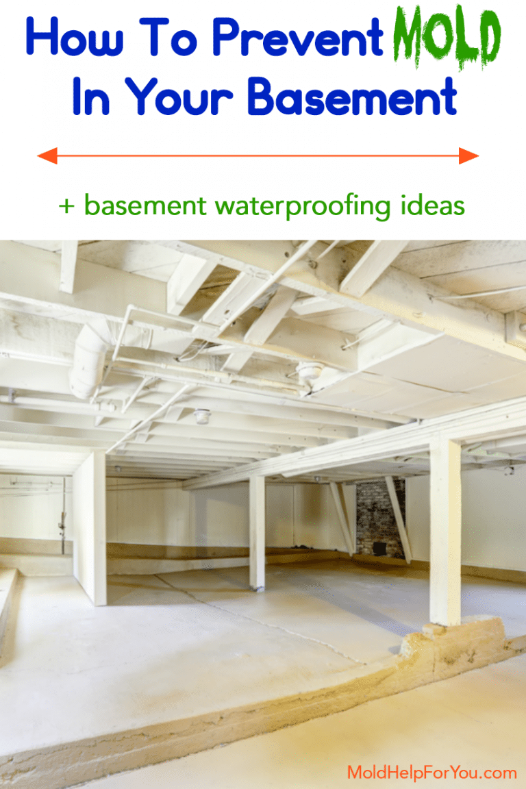 How To Prevent Mold In The Basement + 13 Basement Mold Tips Mold Help For You