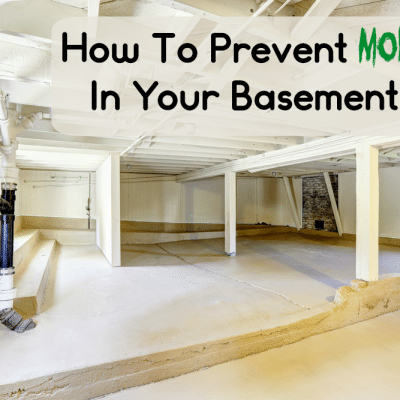 How To Prevent Mold In The Basement + 13 Basement Mold Tips