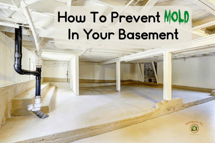 A mold free basement because the homeowners followed a guide on how to prevent mold in the basement.