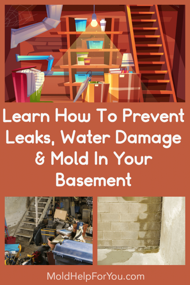 How To Prevent Mold In The Basement + 13 Basement Mold Tips | Mold Help ...