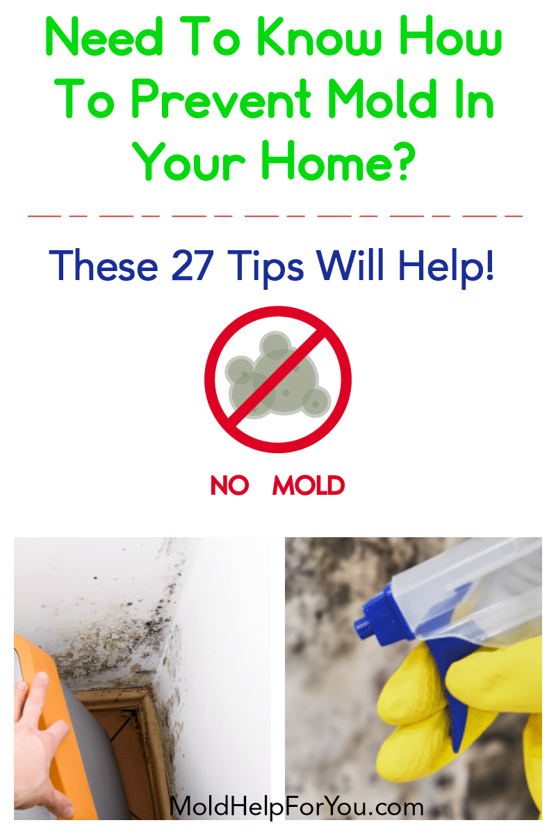 A collage with various ways to prevent mold in your home