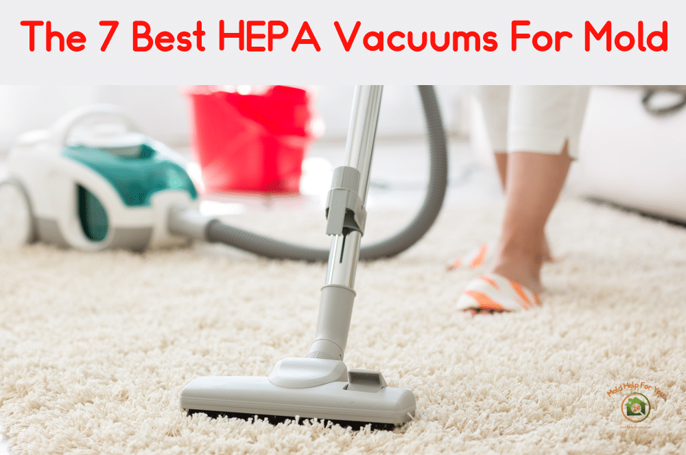 A canister vacuum on carpet - one of the 7 best HEPA vacuums for mold