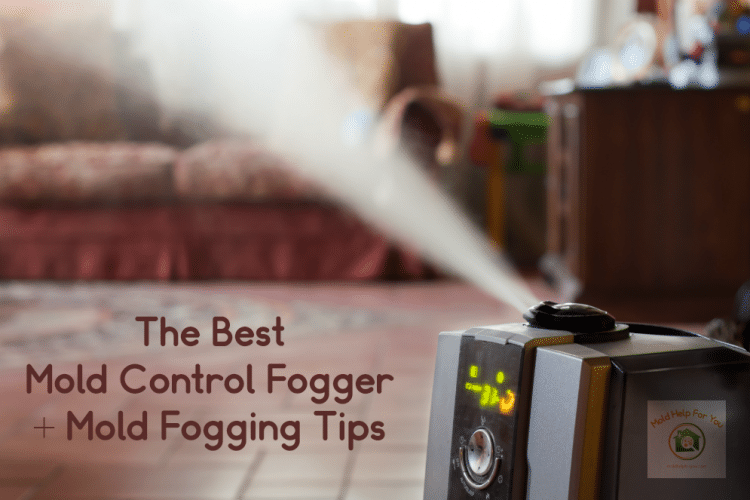 a mold control fogger in a living room