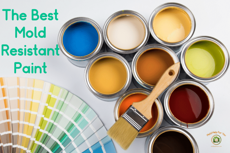 A palette of mold resistant paint