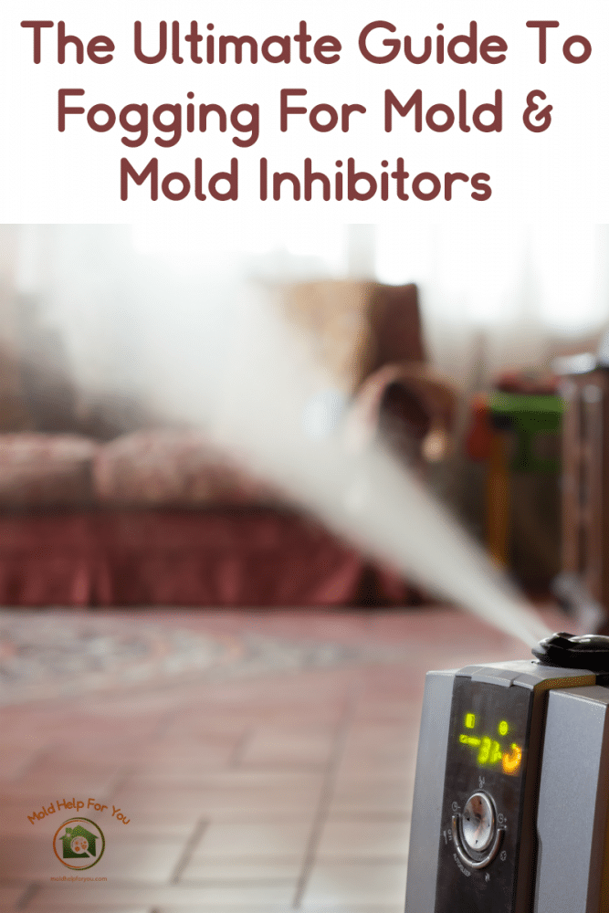 The Best Mold Control Fogger + Mold Fogging Tips