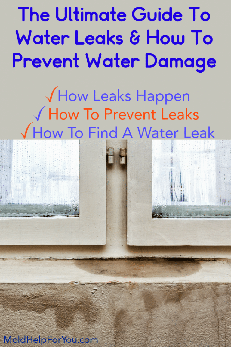 Common Places Water Leaks In Your Home And How To Prevent Water Damage ...