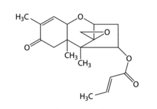 Trichothecene Mycotoxin
