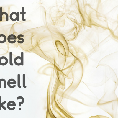 What Does Mold Smell Like?