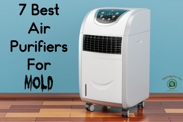 One of the 7 best air purifiers for mold on a teal background