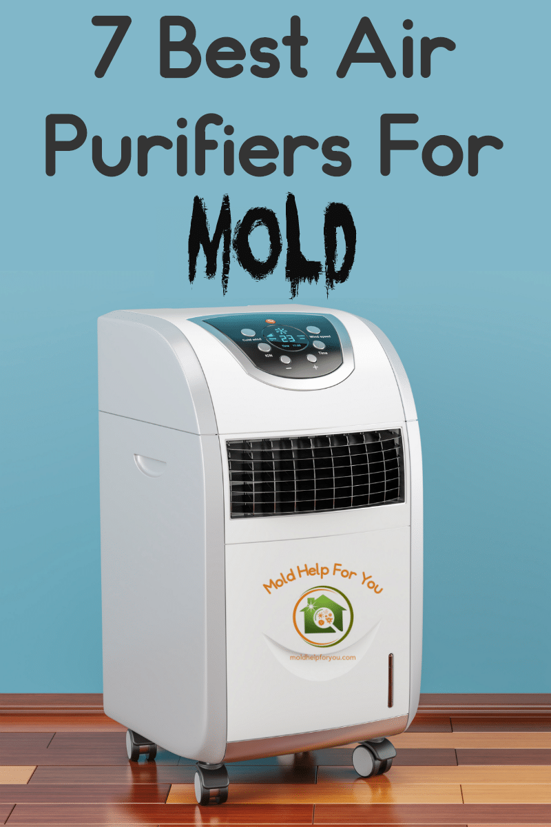 One of the 7 best air purifiers for mold on a teal background
