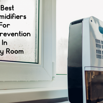Best Dehumidifiers For Mold Prevention In Every Room