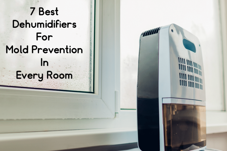 A small dehumidifier in front of a window with condensation. The words "The 7 Best Dehumidifiers For Mold Prevention" written above.