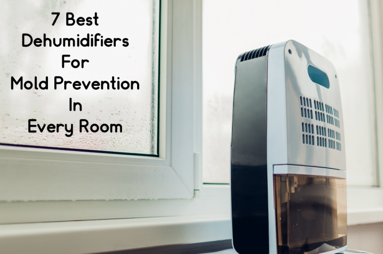 Best Dehumidifiers For Mold Prevention In Every Room