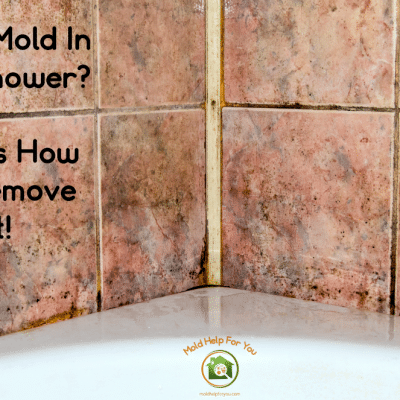Black Mold In The Shower? Here’s How To Remove It!