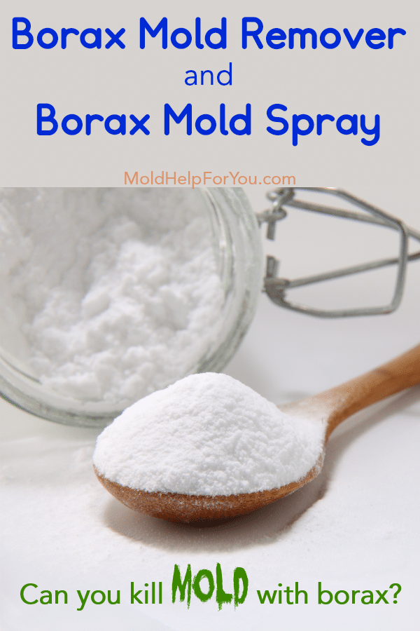 An image of borax on a spoon about to be used to make borax mold remover