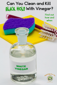 Does Vinegar Kill Mold? | Mold Help For You