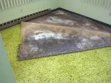 Carpet mold and wet padding under carpet