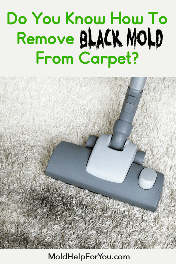Someone trying to remove black mold from carpet with a HEPA vacuum