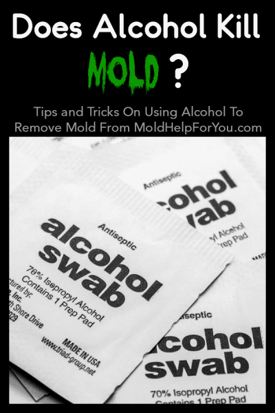 Does Alcohol Kill Mold? | Mold Help For You