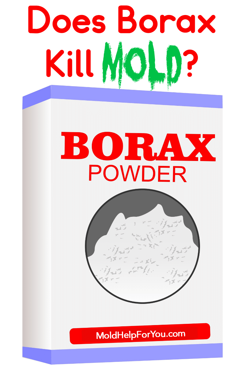A box of borax about to be used to kill mold