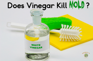 A glass bottle of vinegar, a yellow dish towel, a scrub brush, and a blue scouring pad. The words "does vinegar kill mold" are written above