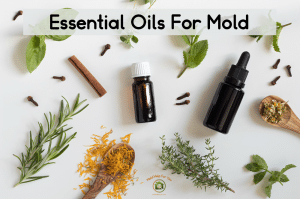 A collage with essential oils for mold