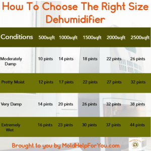 Best Dehumidifiers For Mold Prevention In Every Room | Mold Help For You